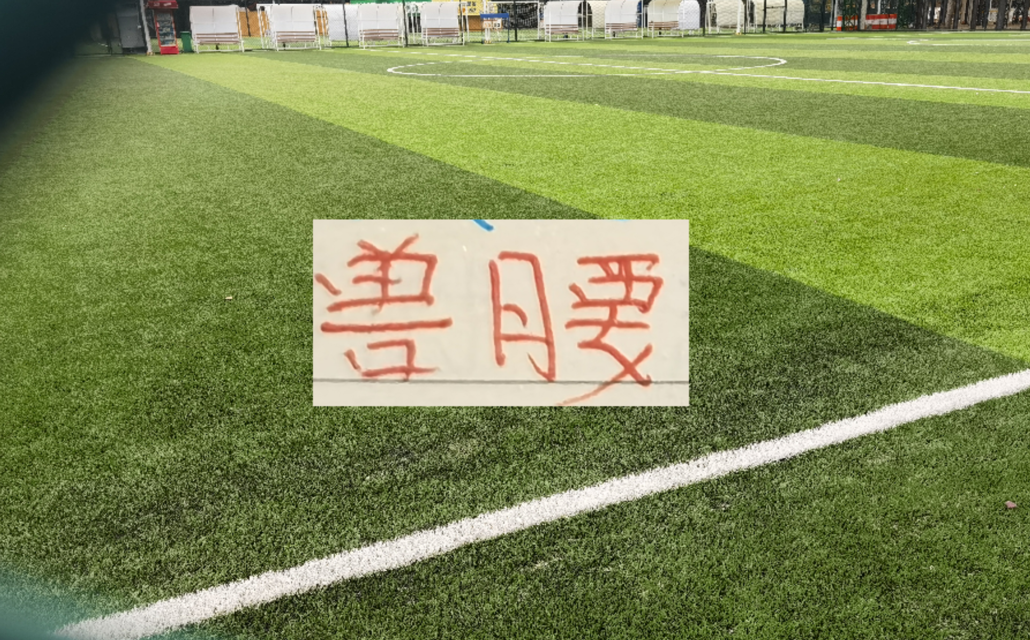 开云体育-中超豪门后腰 海港跟北京国安非洲腰还需要时间验货